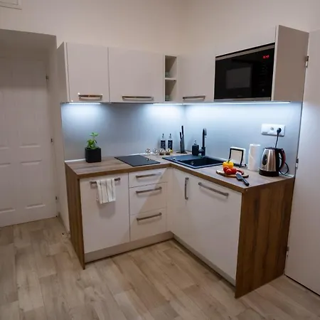 ⭑ Comfy Vip In The Center With Netflix Brno